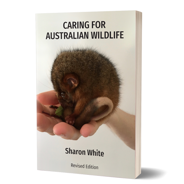 Caring for Australian Wildlife